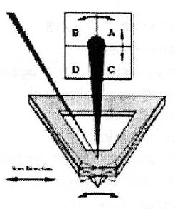 AFM