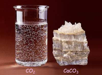 οάνθρακας µετηµορφήενώσεων (1) Κυρίως ανθρακικών αλάτων, όπως το ανθρακικό ασβέστιο