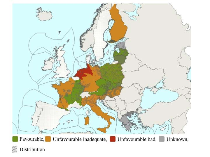 Χάρτης 2.4.