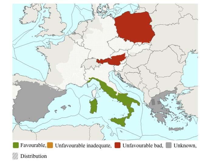 Χάρτης 2.6.