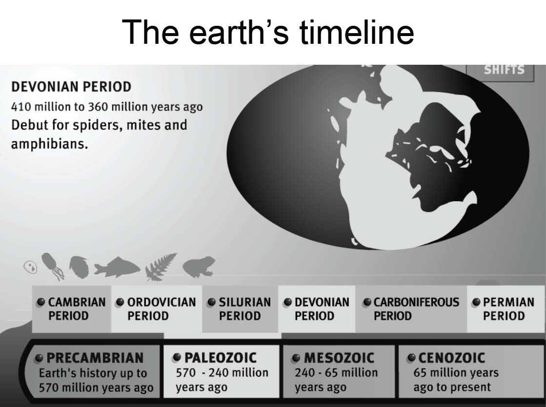410 εκ-360 εκ χρόνια πριν Εμφάνιση