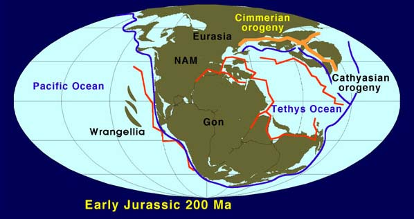 Η Τριάσικη Περίοδος: 248-206 εχπ Αρχίζει η εποχή των δεινοσαύρων, μεγάλα δένδρα κυριαρχούν στη Γη.
