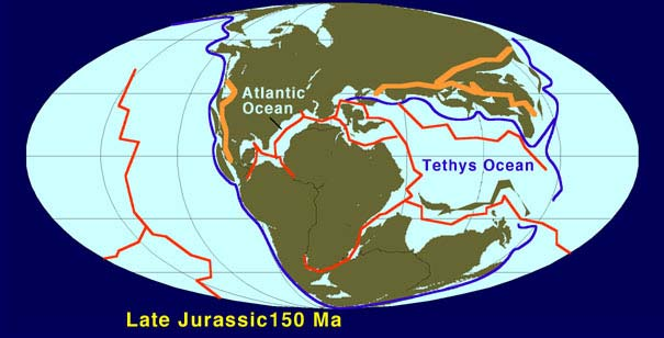 Η Ιουρασσική Περίοδος: 206-146 εχπ Η εποχή των δεινοσαύρων συνεχίζεται, και