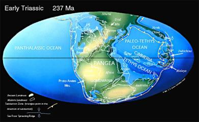 Η Γη στον Μεσοζωικό Αιώνα (250-65 Μα) Τριαδικό