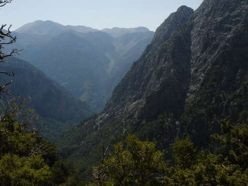 ΠΕΡΙΒΑΛΛΟΝΤΙΚΗ ΕΡΓΑΣΙΑ Α ΤΑΞΗΣ ΓΕΛ ΚΑΤΩ ΑΧΑΙΑΣ ΣΧΟΛΙΚΟ ΕΤΟΣ: 2012-2013 «ΕΘΝΙΚΟΙ ΔΡΥΜΟΙ ΟΙ ΓΗΙΝΟΙ