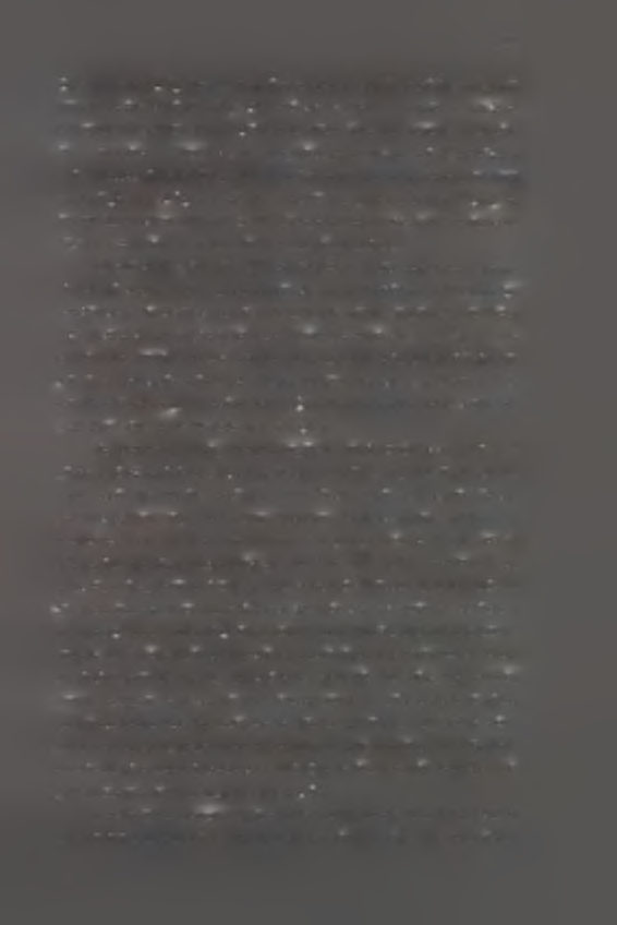 27 ώρες (Blackman 1974). Για την Μ persicae αναφέρεται πως διατρυπά ένα επιδερμικό κύτταρο σε ένα λεπτό (Brandley 1952) ενώ για να φτάσει στο φλοίωμα χρειάζεται τουλάχιστον 15 λεπτά (Auclair 1963).
