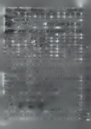 1 < -----------,-------- WLiPh Ih-ytrlh^J hito $ H fotcflün..ünícb TcUa oo 1 n-t οι CO o< 01 CD 1OÍ oz Co 0( 07 \ Ίυ^'αΐΜ I.