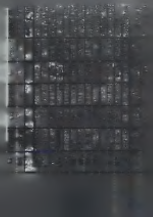 72*4 o Μ É s σ OO -O V^V CO _c-o r~ Q O 3-U 3o O 7 X l L/i ~V> - * 3 o.-o x g Dp CT-' Ό -4-4 >o ί "-O i O 3 3 o X :i 9, s r c:_ s - C % " cr rd M 2 P I O 3. O v, V ^ \.