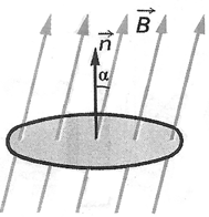 לכן: (2.2) ציור 36 Φ = Β n S את השטף המגנטי אפשר לפרש באופן ויזואלי כערך הפרופורציונלי למספר קווי השדה, החודרים דרך המשטח ששטחו S. יחידת השטף המגנטי מכונה ו בּ ר.