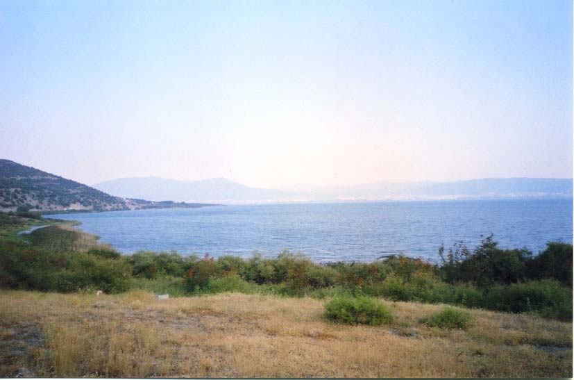 7 2. ΠΕΡΙΟΧΗ ΕΡΕΥΝΑΣ Η λίµνη Βόλβη, µια από τις µεγαλύτερες φυσικές λίµνες στην Ελλάδα (Εικ. 2.1), βρίσκεται στην κεντρική Μακεδονία και απέχει περίπου 20 km από την πόλη της Θεσσαλονίκης.