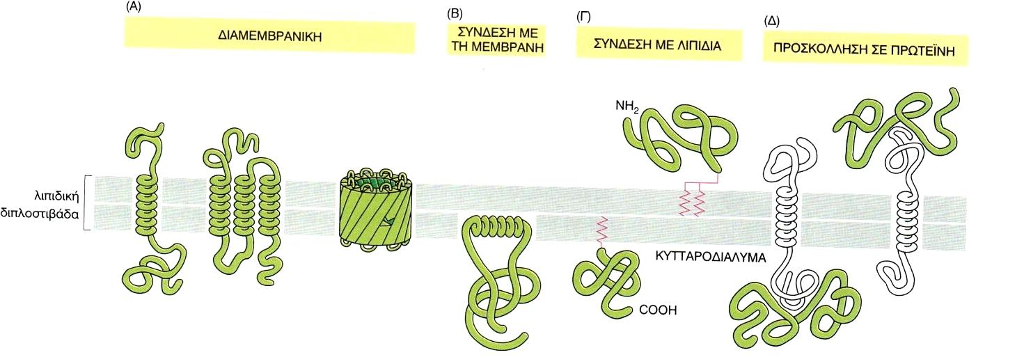 Τρόποι πρόςδεςθσ τθσ