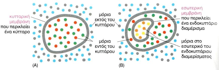 Δομι Στρϊμα λιπιδικϊν μορίων πάχουσ 5 nm που λειτουργεί ωσ φραγμόσ