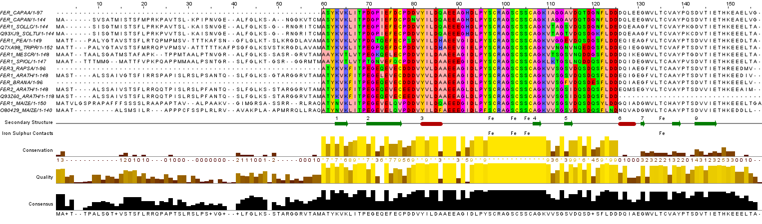 Multiple alignment editors Έλεγχος και πιθανή τροποποίηση πολλαπλών στοιχίσεων Jalview http://www.jalview.