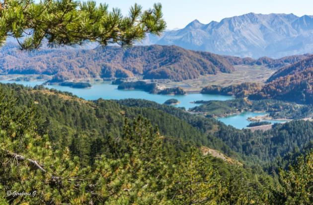 Ελεύθερους ασικούς Συνεταιρισμούς Εργασίας (Ε..Σ.Ε) (Κατσούλης, 2011).