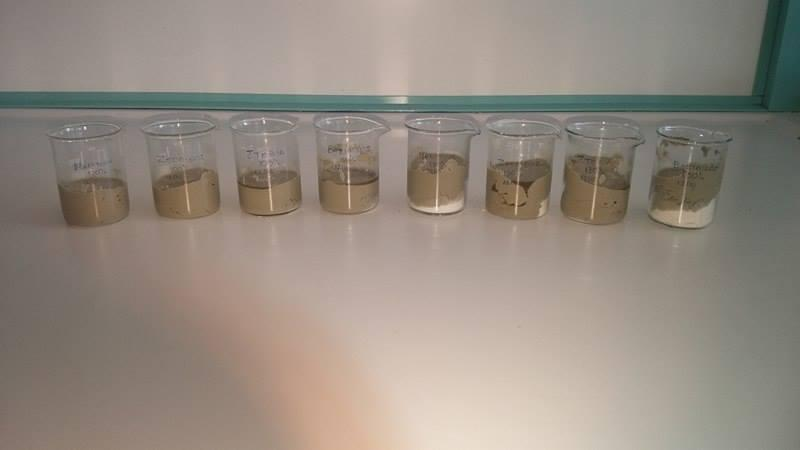 Εικόνα 18: Προσθήκη Ζεόλιθου σε εκχυλίσματα για δοκίμες αποχρωματισμού με συγκεντρώσεις 100%, 130% και 150% σε ποτήρια ζέσεως των 50 ml 5.