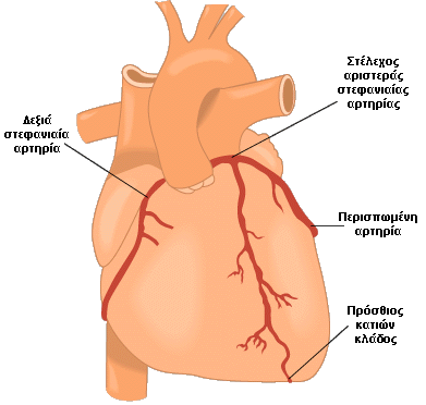 ΣΕΦΑΝΙΑΙΕ