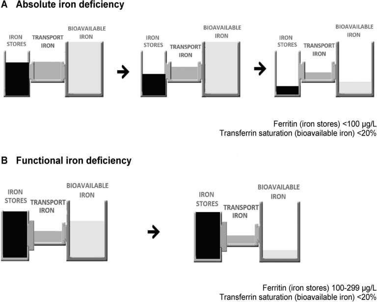 Iron deficiency: an emerging therapeutic target in