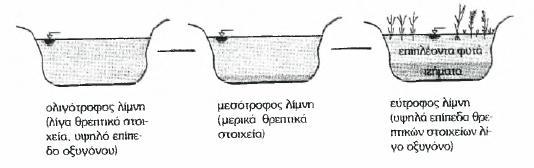 στοιχείων (τόσο στη μάζα του νερού όπως και στα ιζήματα του πυθμένα)με αποτέλεσμα την υποβάθμιση της ποιότητας του νερού, που λέγεται ευτροφικό (σχήμα 2..2).