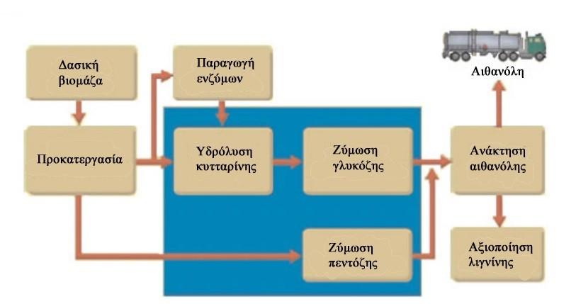 Παραγωγής αιθανόλης από δασική βιομάζα Εικόνα 11.4.