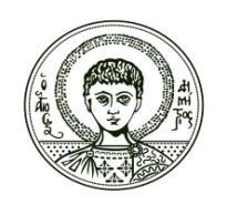 ΑΡΙΣΤΟΤΕΛΕΙΟ ΠΑΝΕΠΙΣΤΗΜΙΟ ΘΕΣΣΑΛΟΝΙΚΗΣ ΜΕΤΑΠΤΥΧΙΑΚΟ ΠΡΟΓΡΑΜΜΑ ΤΜΗΜΑ ΝΟΜΙΚΗΣ ΤΟΜΕΑΣ ΔΙΕΘΝΩΝ ΣΠΟΥΔΩΝ Διπλωματική Εργασία Γνωστικό Αντικείμενο: Διεθνείς Σχέσεις Τίτλος εργασίας: «Κριτική Προσέγγιση στην