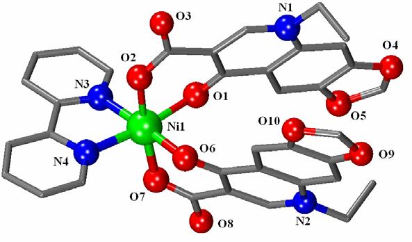 Σχήμα 46: Κρυσταλλική δομή του συμπλόκου Ni(oxo) 2 (bipy) 6H 2 O. Πίνακας 15: Επιλεγμένα μήκη και γωνίες δεσμών για το σύμπλοκο Ni(oxo) 2 (bipy) 6H 2 O. Μήκος δεσμού (Å) (Å) Ni(1) - O(1) 2.