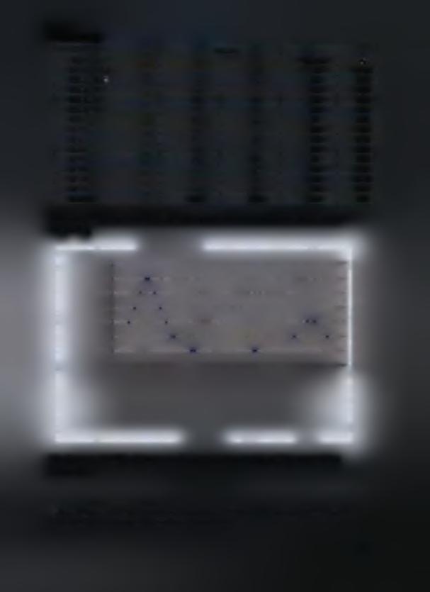 Τ3,4 28 28 4,26 Τ5,6 10 4 14 2,13 Τ7,8 20 20 3,04 T9,10 23 18 41 6,24 Τ11,12 27 21 48 7,3 ΤΙ 3,14 20 88