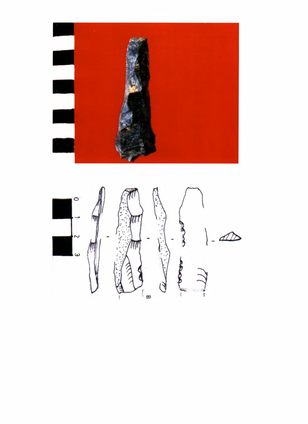 Εικ. 31.