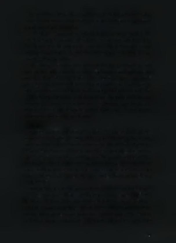 Οι ανασκαφές μεταξύ 1975 και 1992 από την Αρχαιολογική Εταιρεία αποκάλυψαν νεολιθικές εγκαταστάσεις κάτω από τα στρώματα της πρώιμης και ύστερης εποχής του χαλκού.