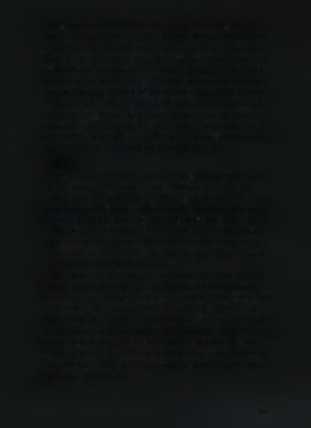 Μάου, προήλθαν νεολιθικά όστρακα και τέχνεργα από οψιανό, ανάμεσα στα οποία και μισχωτές αιχμές τύπου Σάλιαγκου (Sampson 2002:169-175).