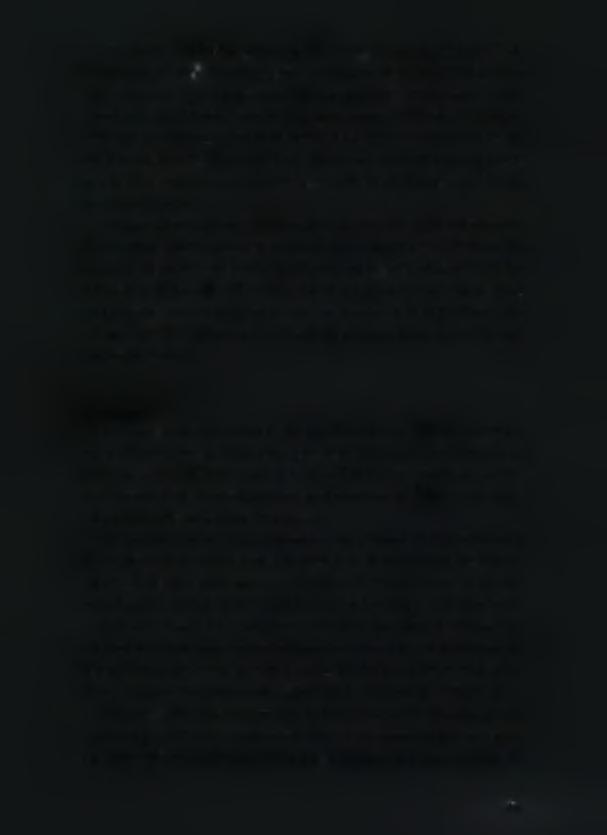 Στη φάση 5, ΝΝΙΙ/ΤΝ (Παράρτημα I, ττίν.7), ο οψιανός επικρατεί με ποσοστό μέχρι 89%. Οι πυρήνες, ήδη διαμορφωμένοι, χρησιμοποιούνται για την επιτόπια εξαγωγή λεπίδων.