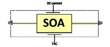 ΝΙΚΟΛΑΟΣ ΠΕΤΡΗΧΟΣ τα SOA-MZIs επιλέχθηκε ασύμμετρη διαμόρφωση, έχοντας έναν SOA ανά μεταγωγό, αντικαθιστώντας τον SOA στον άνω κλάδο του MZI με έναν αντιστάτη (resistor).