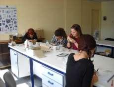 Μελέτη μικροπανίδας από αρχαιολογικές ανασκαφές παλαιολιθικών και νεώτερων θέσεων Παλαιοντολογική και στρωματογραφική μελέτη υλικού από πυρήνες γεωτρήσεων