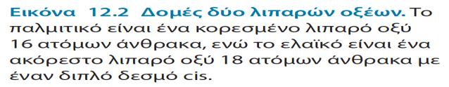 ο C, ελαικο 13 ο C παλμιτικό 62,5 ο C Χαρακτηριστικό παράδειγμα