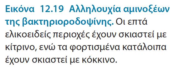 φωτεινή ενέργεια (μεταφορά πρωτονίων από το εσωτερικό στο