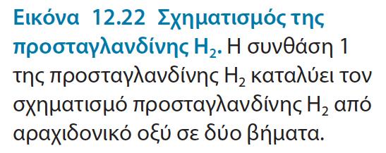 Συνθάση 1 της προσταγλαδίνης Η 2 Προσταγλάνδίνη Η 2 :