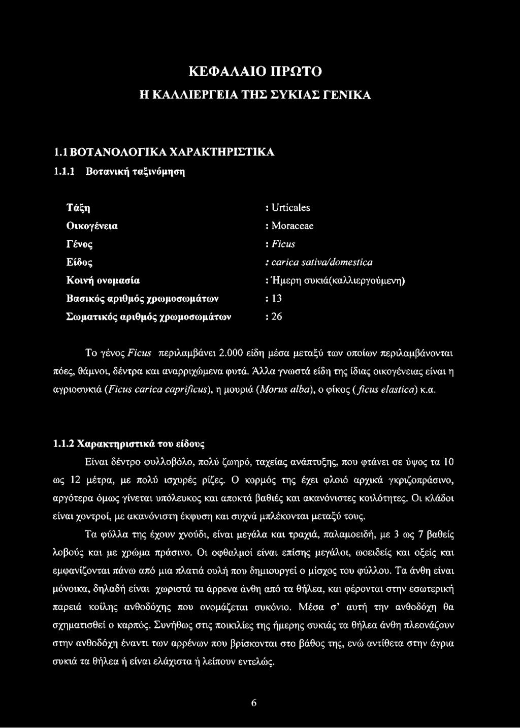 carica sativ a/domestica : Ήμερη συκιά(καλλιεργούμενη) : 13 : 26 Το γένος Ficus περιλαμβάνει 2.000 είδη μέσα μεταξύ των οποίων περιλαμβάνονται πόες, θάμνοι, δέντρα και αναρριχώμενα φυτά.