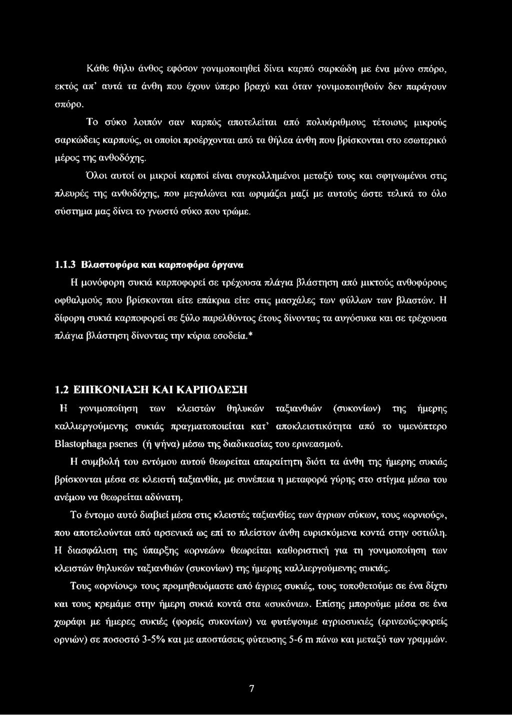 Όλοι αυτοί οι μικροί καρποί είναι συγκολλημένοι μεταξύ τους και σφηνωμένοι στις πλευρές της ανθοδόχης, που μεγαλώνει και ωριμάζει μαζί με αυτούς ώστε τελικά το όλο σύστημα μας δίνει το γνωστό σύκο