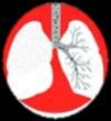 Index 25 20 15 10 5 0 Nasopharyng eal Trach eo bro nchial Pulmonary bronchioles Nasopharyng eal Trach eo bro nchial Pulmonary bronchioles Traffic Urban backgroun d Index 25 20 15 10 5 0 Nasopharyng