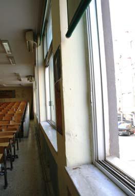 Όπσο θαίλεηαη θαη ζηηο επφκελεο θσηνγξαθίεο, νη πηέξπγεο δηαζέηνπλ δηπινχο παινπίλαθεο, θαη ν θέξνλ νξγαληζκφο είλαη θαηαζθεπαζκέλνο απφ ζθπξφδεκα (ππνζηπιψκαηα