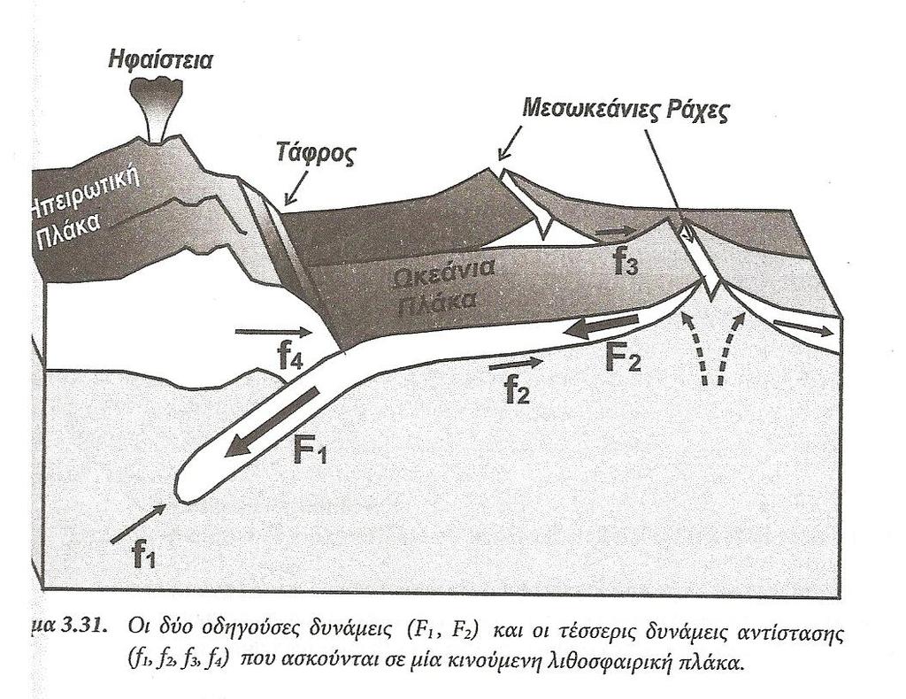 Δυνάμεις στις κινούμενες F 1 : ασκείται από το πεδίο βαρύτητας (10 13 Νm -1 ) F 2 : απώθηση της ράχης (10 12 Νm -1 ) f 1 : αντίδραση του μανδύα στην υποβύθιση της πλάκας f 2 : Τριβή από την