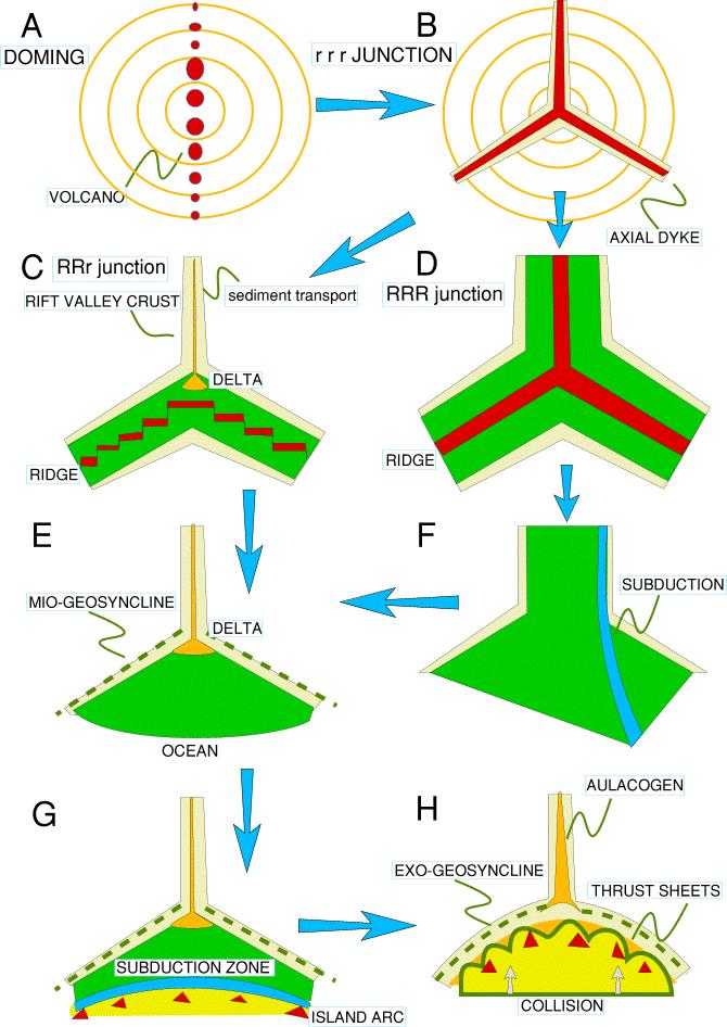Αυλακογένεση Γένεση και εξέλιξη ενός μανδυακού μανιταριού δημιουργώντας τριπλά σημεία συνάντησης Α: άνοδος μανδυακού μανιταριού που συνδέεται με ηφαιστειότητα Β: δημιουργία ραχών RRR C: εξέλιξη δύο
