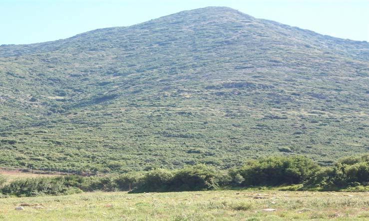 Η βλάστηση στην προστατευόμενη περιοχή Χαμηλότερα υπάρχουν χέρσες εκτάσεις, γεωργικά καλλιεργούμενες εκτάσεις, ελαιώνες, οπωρώνες καθώς και εκτάσεις με διάσπαρτα καρποφόρα και καλλωπιστικά δέντρα.