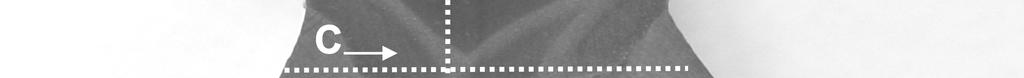 acicular ferrite and small quantities of Widmanstatten ferrite can be found (Figure 3b).