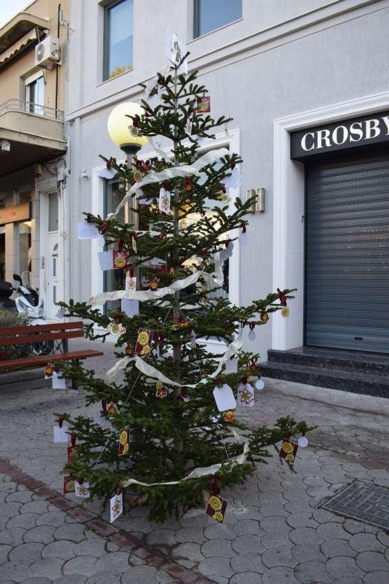 Στιγμιότυπα από τα Χριστουγεννιάτικα Δένδρα που στόλισαν μικροί και μεγάλοι από Σχολεία, Πολιτιστικούς Συλλόγους και Σωματεία στους
