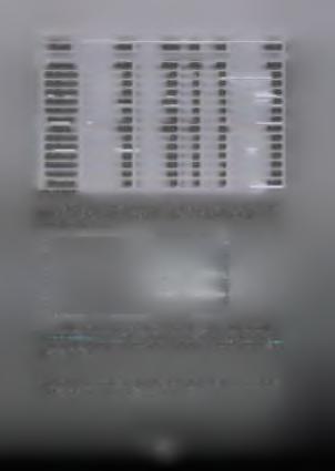 252 43 9 60 4 5-6 4 ετώ ν 955 928 27 0 382 6 5+ ετώ ν 39 39 0 0 977 Θήλεις 1.810 1.625 123 62 3.