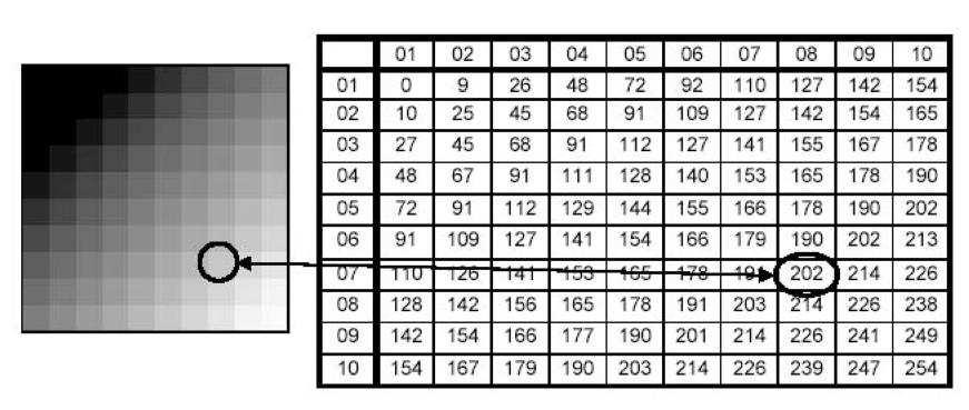10 Recuperação de Imagens Figura 2.2: Pixels de uma imagem. amostragem e discretizar f(x) chama-se quantização.