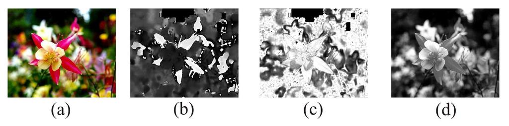 das informações de cor, correspondendo a uma representação da imagem em níveis de cinza. A Figura 3.8 ilustra o espaço de cor HSI. A Figura 3.9 mostra uma imagem colorida e a visualização de seus canais de cor H, S e I.