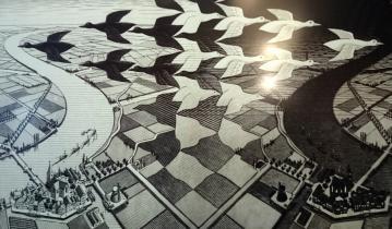 Escher είναι πιο πολύπλοκες από τα τετράγωνα πλακάκια του μπάνιου ;