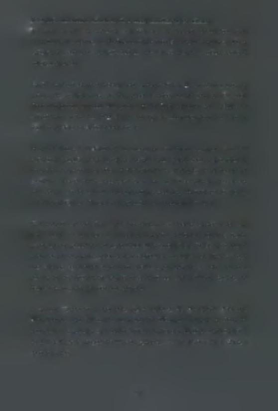 8.2.3 Πολεοδοιιικά & κυκλοφοριακά γαρακτηριστικά πεοιογής ιαελέττκ Το νότιο τμήμα της περιοχής γειτνιάζει με την περιοχή Βαρδαρίου, όπου αναπτύσσονται οι αγορές του Βαρδαρίου και της οδού Ειρήνης.