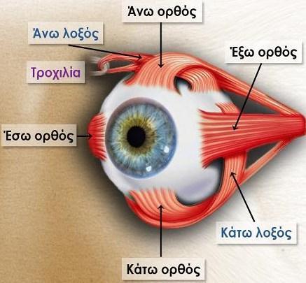 Εικόνα 1.